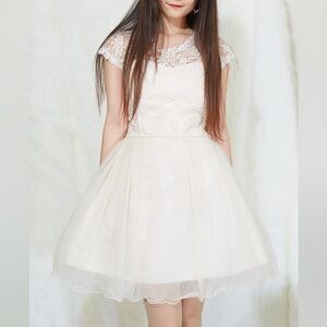 Elegant White Lace Dress